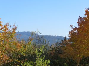 Blick von der Ostterrasse