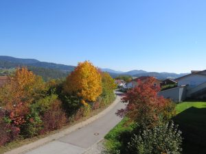 Blick vom DG Richtung Osten