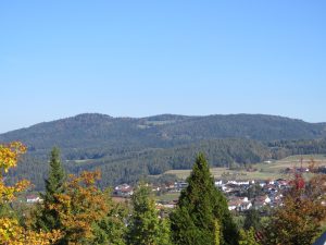 Ausblick