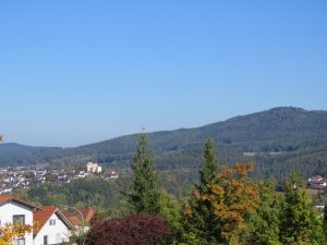 Ausblick