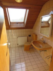 Dusche WC mit Dachfenster im DG